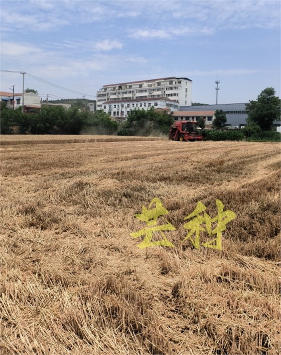微信图片_20240605100014