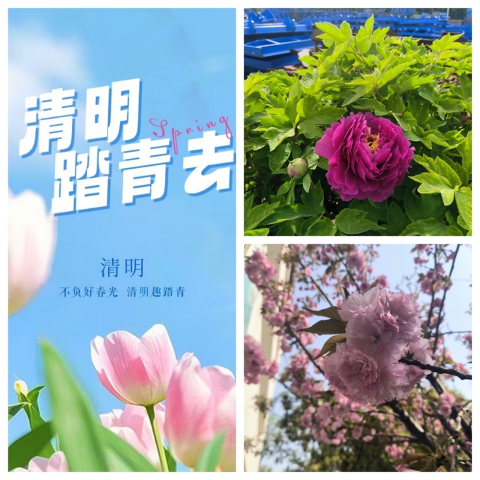 未命名